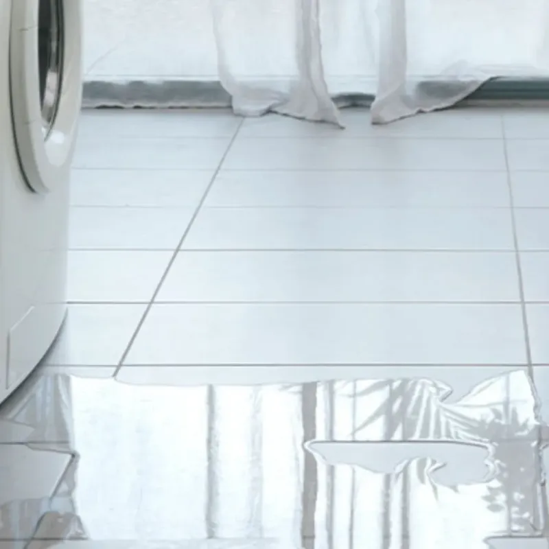 Appliance Leak Cleanup in Challis, ID