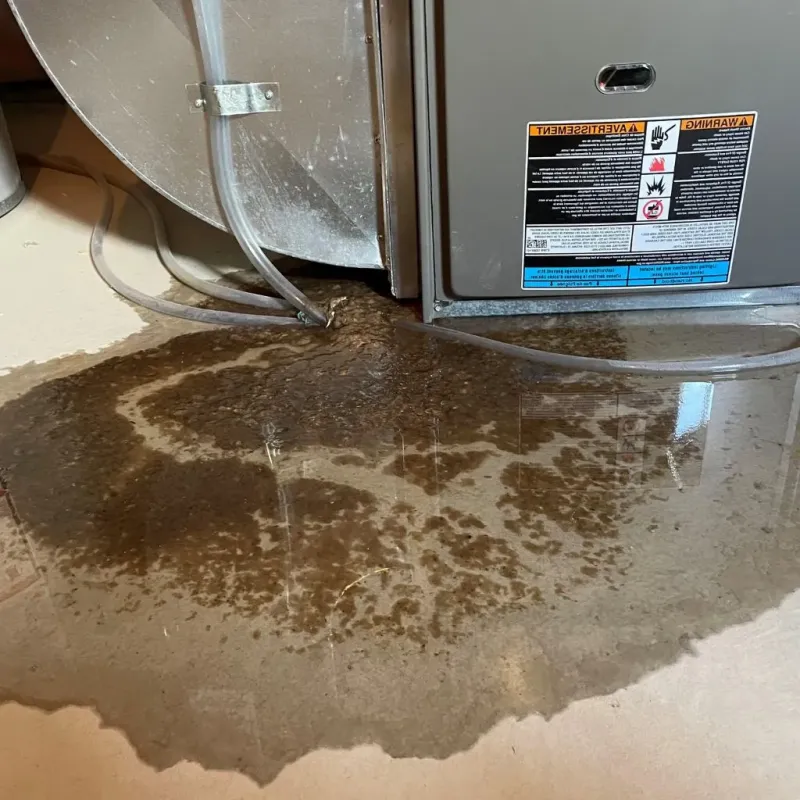Pipe Burst and Leak Restoration in Challis, ID